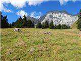 Ehrwald - Zugspitze